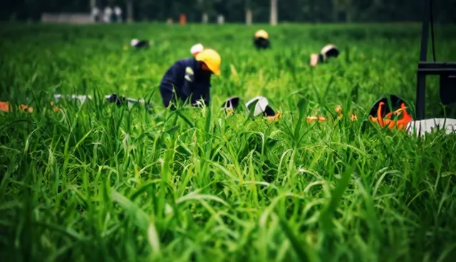 系统集成中技术应用的选型关注点